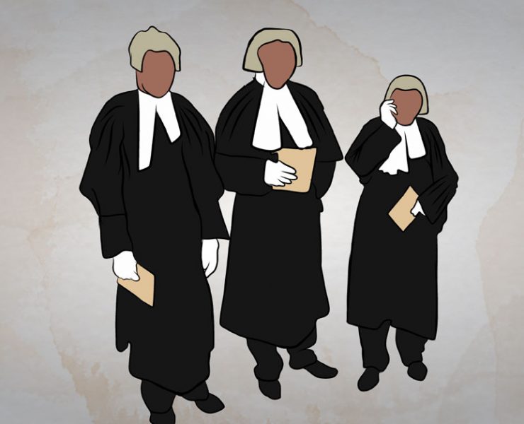 The Judiciary As A Political Player